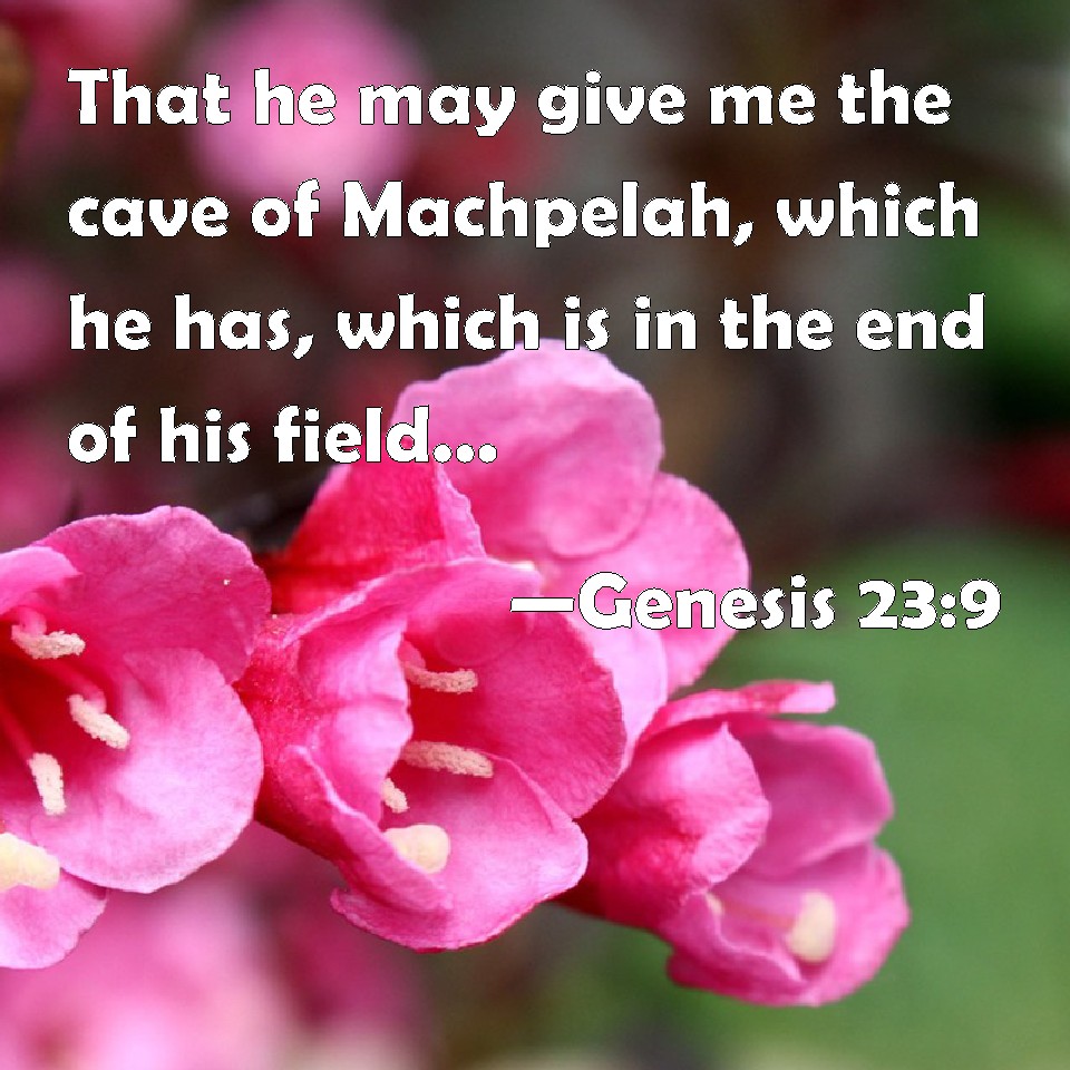 Genesis That He May Give Me The Cave Of Machpelah Which He Has