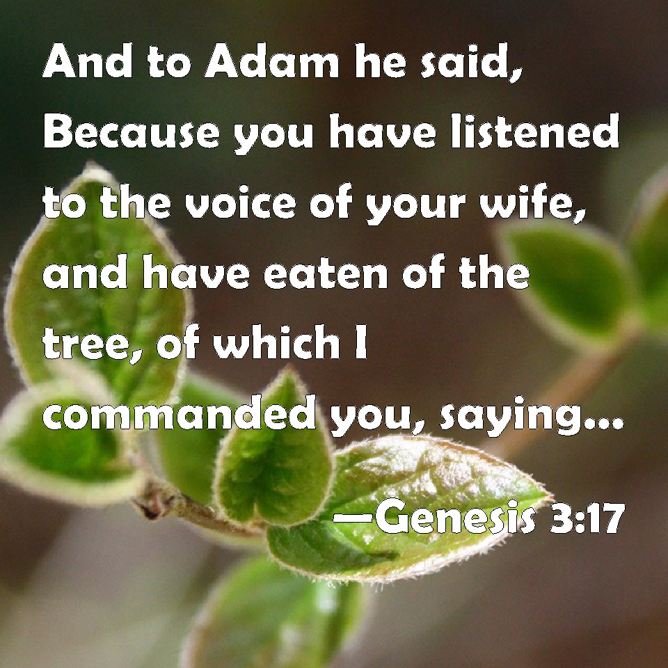 Genesis And To Adam He Said Because You Have Listened To The Voice Of Your Wife And Have