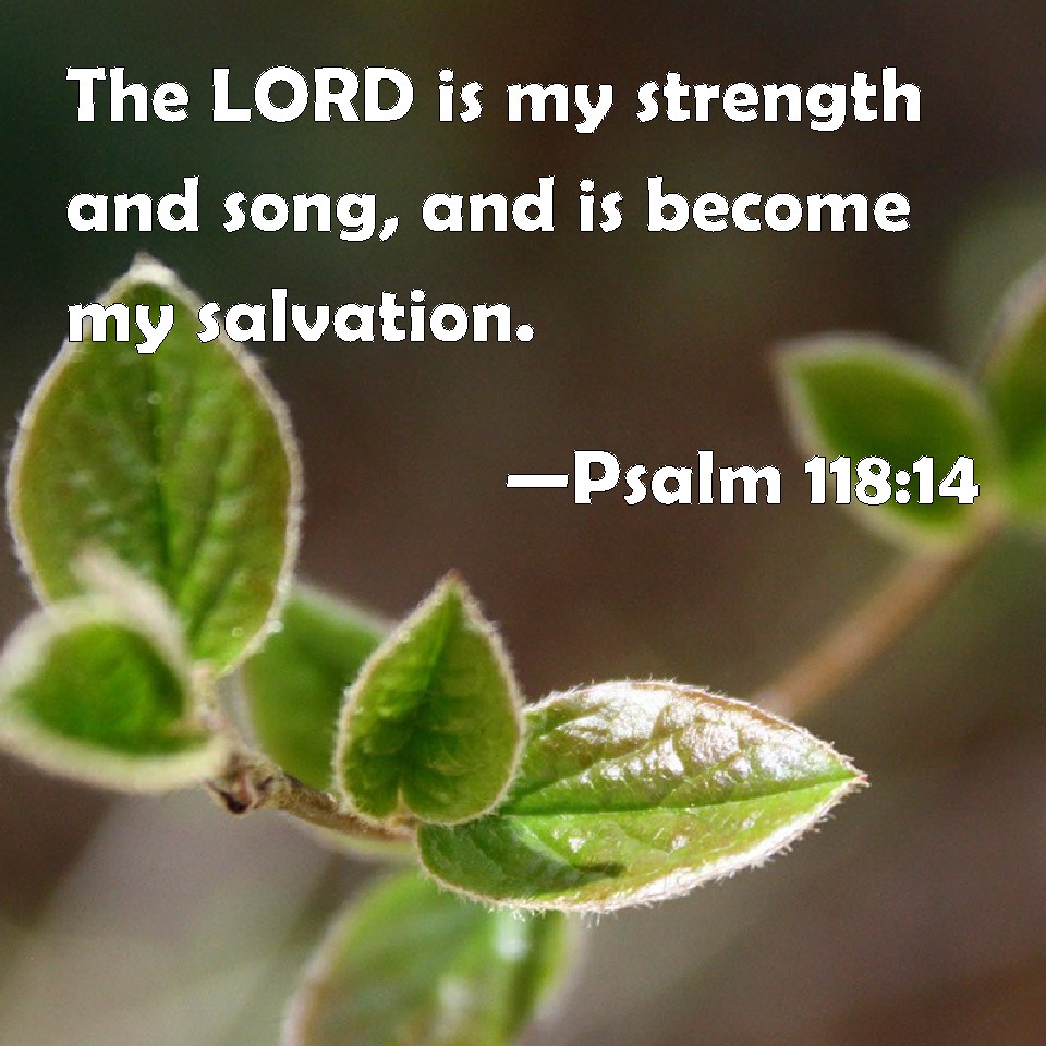 psalm-118-14-the-lord-is-my-strength-and-song-and-is-become-my-salvation