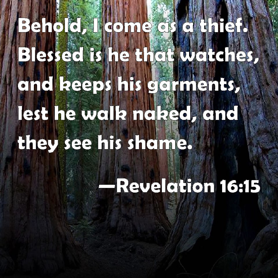 Revelation 16 15 Behold I Come As A Thief Blessed Is He That Watches