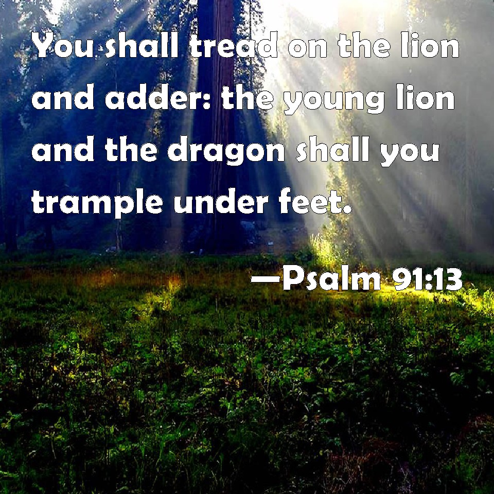 psalm-91-13-you-shall-tread-on-the-lion-and-adder-the-young-lion-and