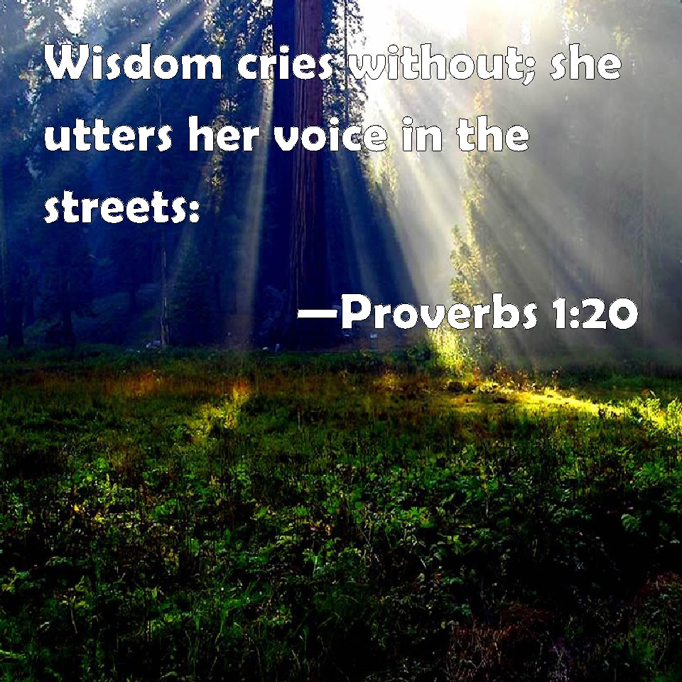 Proverbs 1 20 Wisdom Cries Without She Utters Her Voice In The Streets 