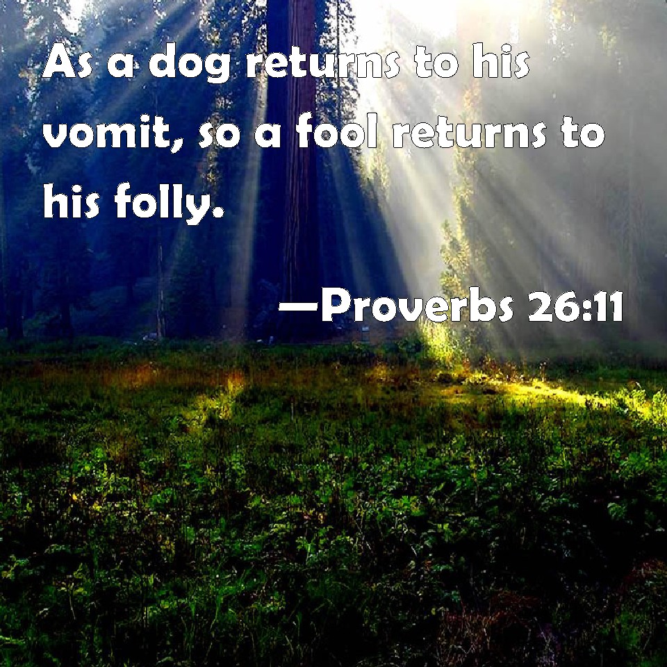 Proverbs 26 11 As A Dog Returns To His Vomit So A Fool Returns To His 