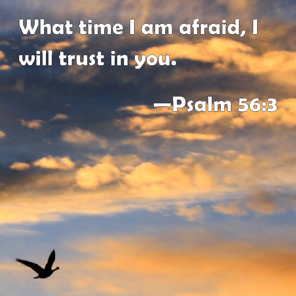 Psalm 56 3 What Time I Am Afraid I Will Trust In You