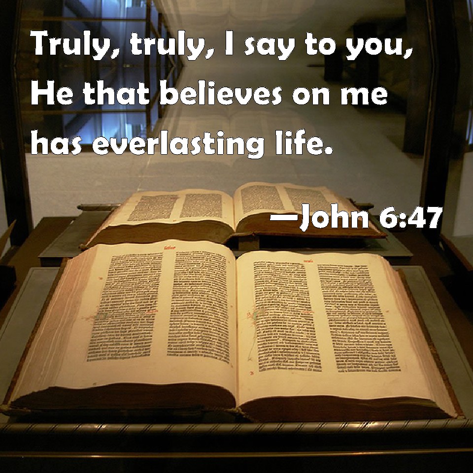 John 6 47 Truly Truly I Say To You He That Believes On Me Has 