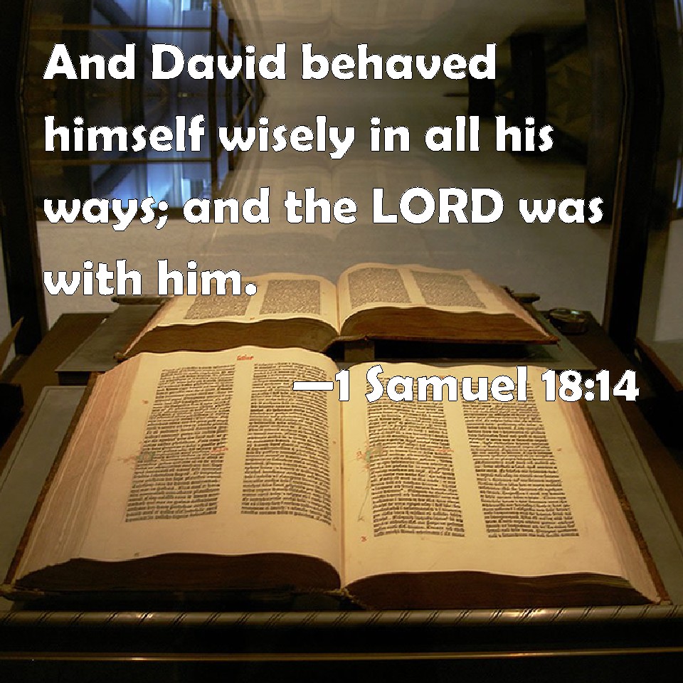 1 Samuel 1814 And David behaved himself wisely in all his