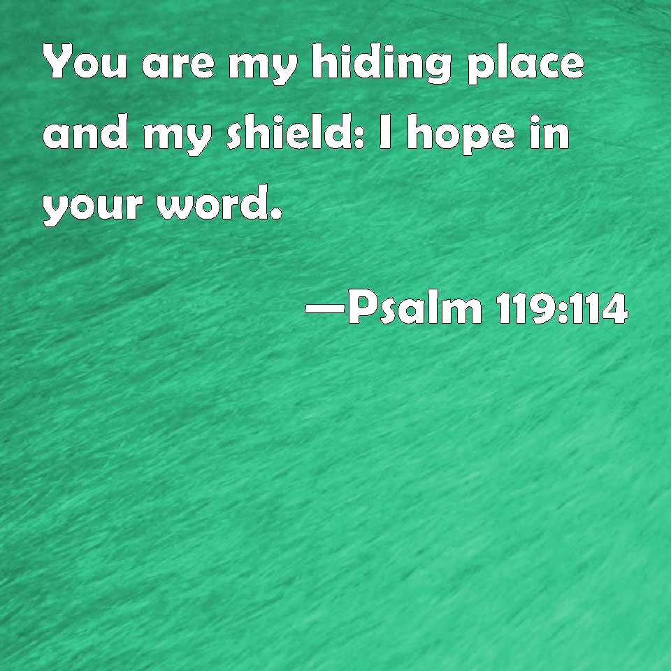 psalm-119-114-you-are-my-hiding-place-and-my-shield-i-hope-in-your-word