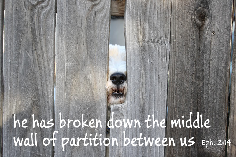 Ephesians 2:14 For he is our peace, who has made both one, and has broken  down the middle wall of partition between us;