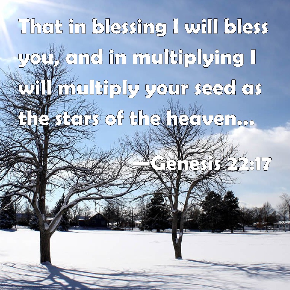 Genesis 22:17 That In Blessing I Will Bless You, And In Multiplying I Will  Multiply Your Seed As The Stars Of The Heaven, And As The Sand Which Is On  The Sea