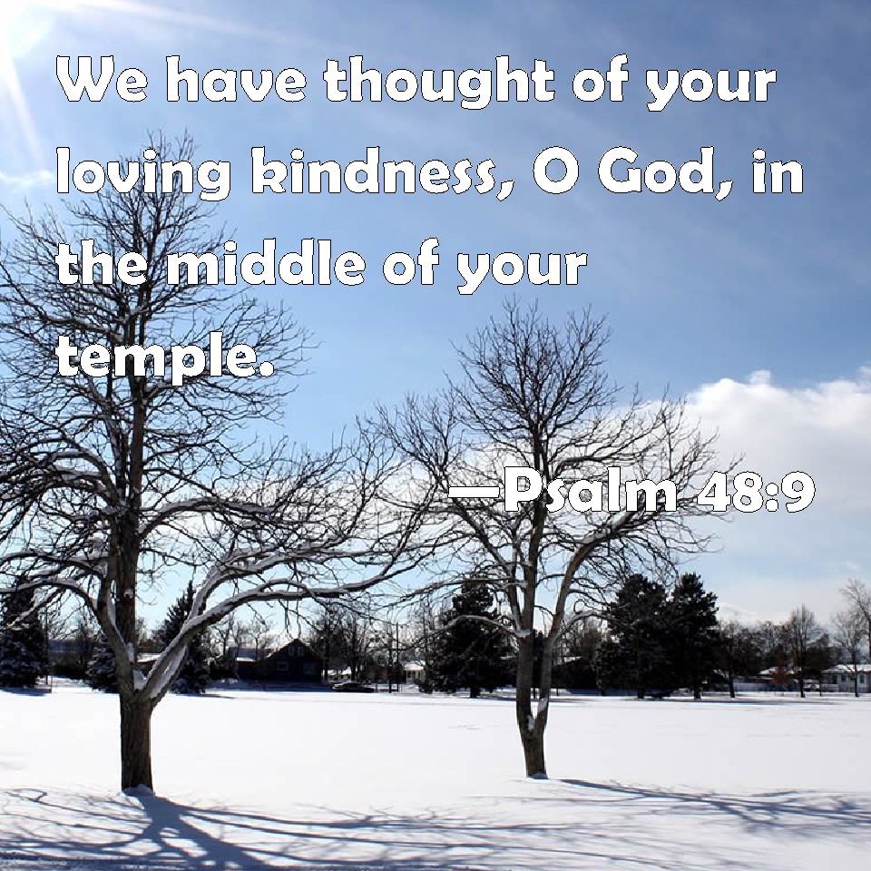 psalm-48-9-we-have-thought-of-your-loving-kindness-o-god-in-the