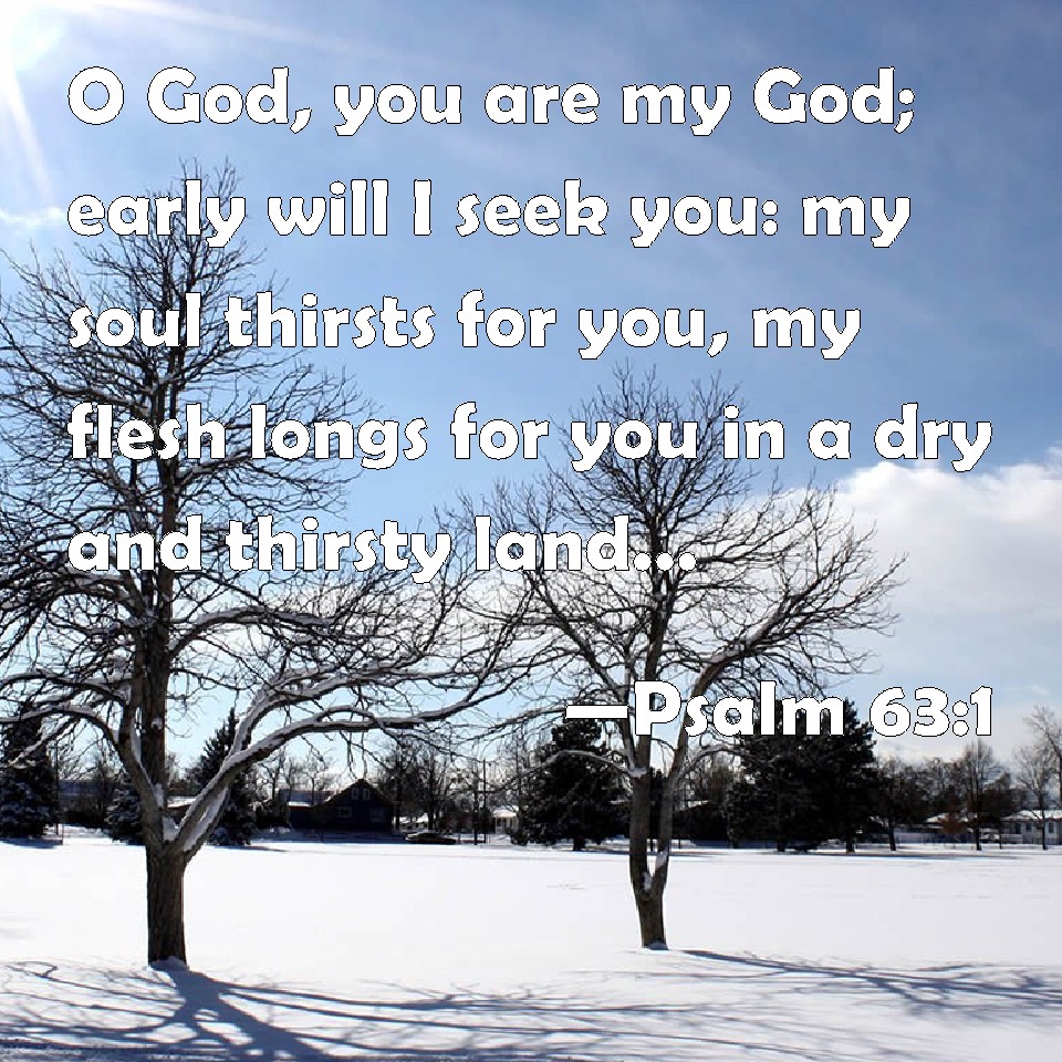 Psalm 631 O God You Are My God Early Will I Seek You My Soul Thirsts For You My Flesh Longs