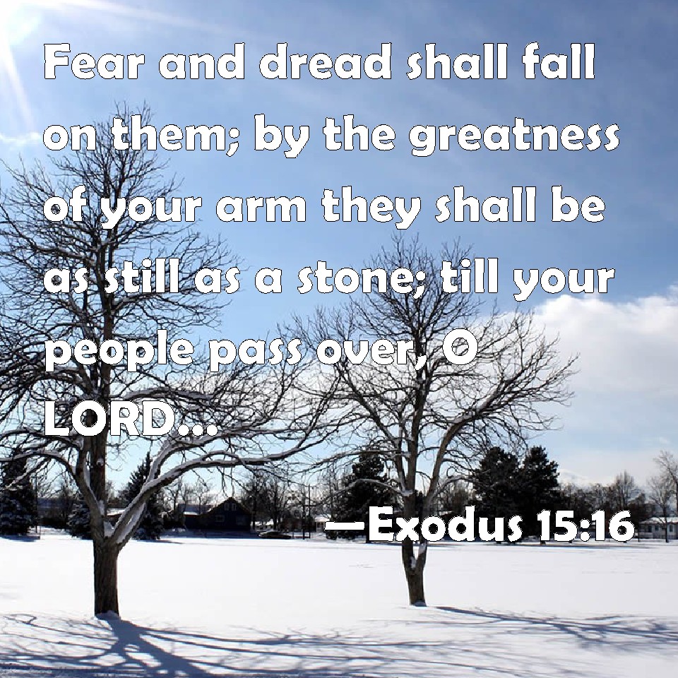 Exodus 15:16 WEB Mobile Phone Wallpaper - Terror and dread falls on them.  By the greatness