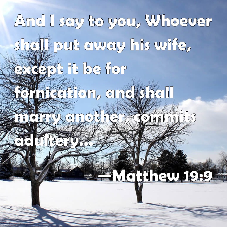 matthew-19-9-and-i-say-to-you-whoever-shall-put-away-his-wife-except