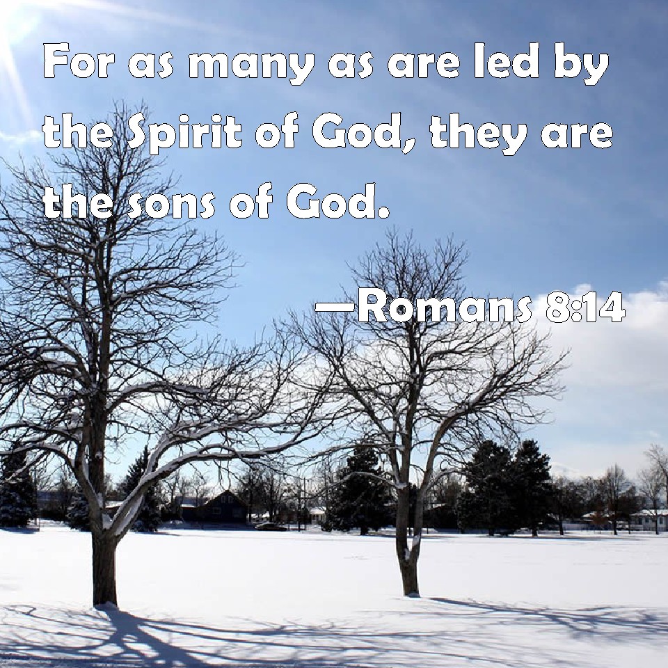 romans-8-14-for-as-many-as-are-led-by-the-spirit-of-god-they-are-the