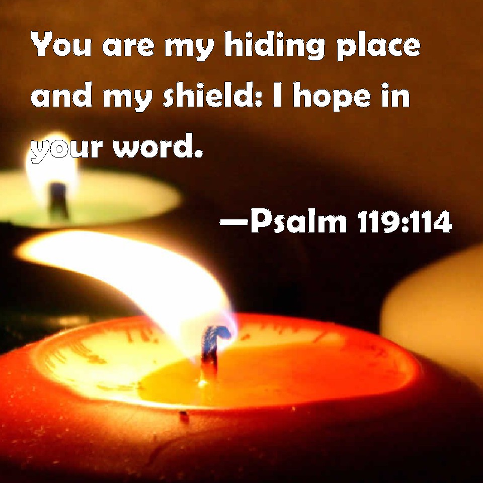 psalm-119-114-you-are-my-hiding-place-and-my-shield-i-hope-in-your-word