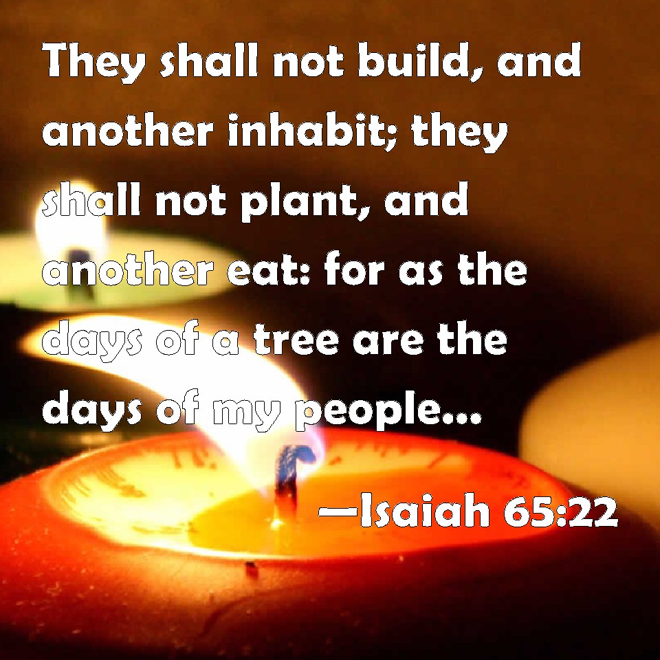 Isaiah 65:22 They Shall Not Build, And Another Inhabit; They Shall Not ...