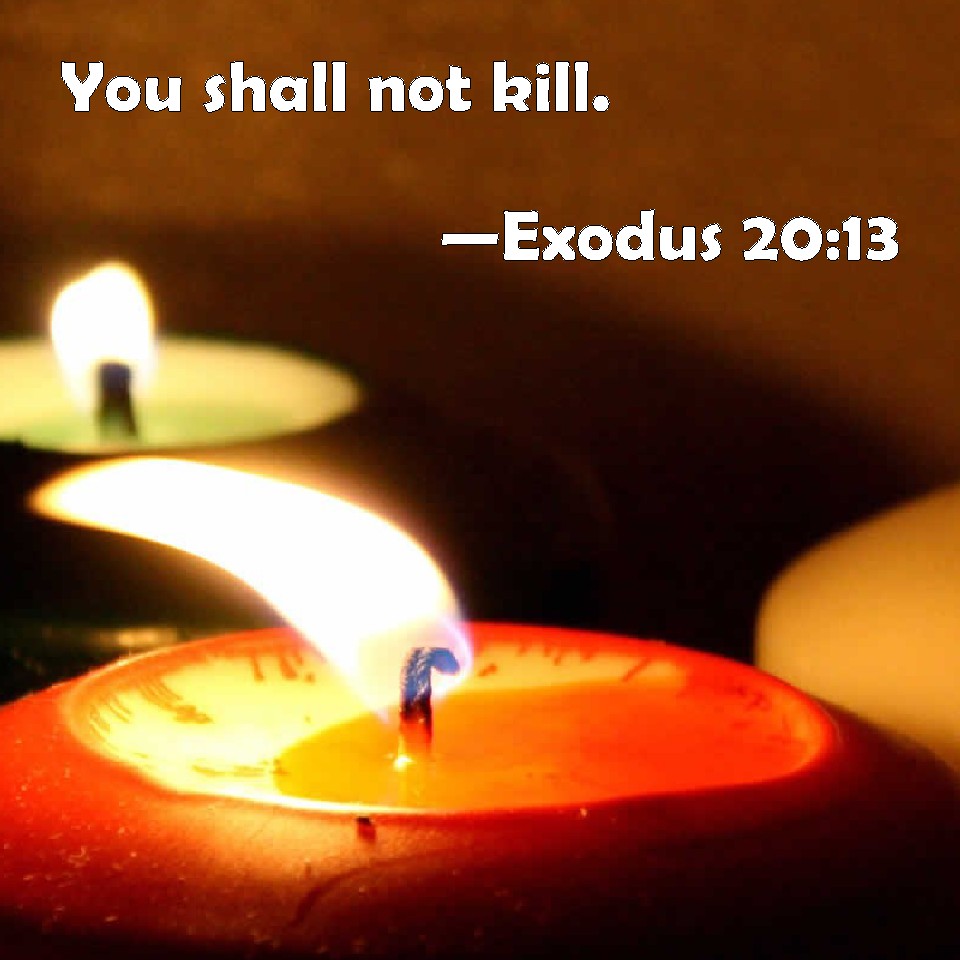 Exodus 2013 You Shall Not Kill