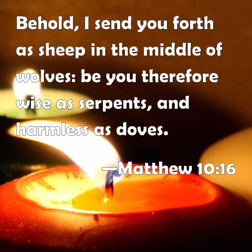 Matthew 1016 Behold I Send You Forth As Sheep In The Middle Of Wolves