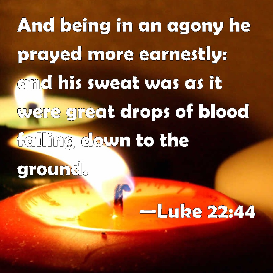 Luke 22:44 And being in an agony he prayed more earnestly: and his ...