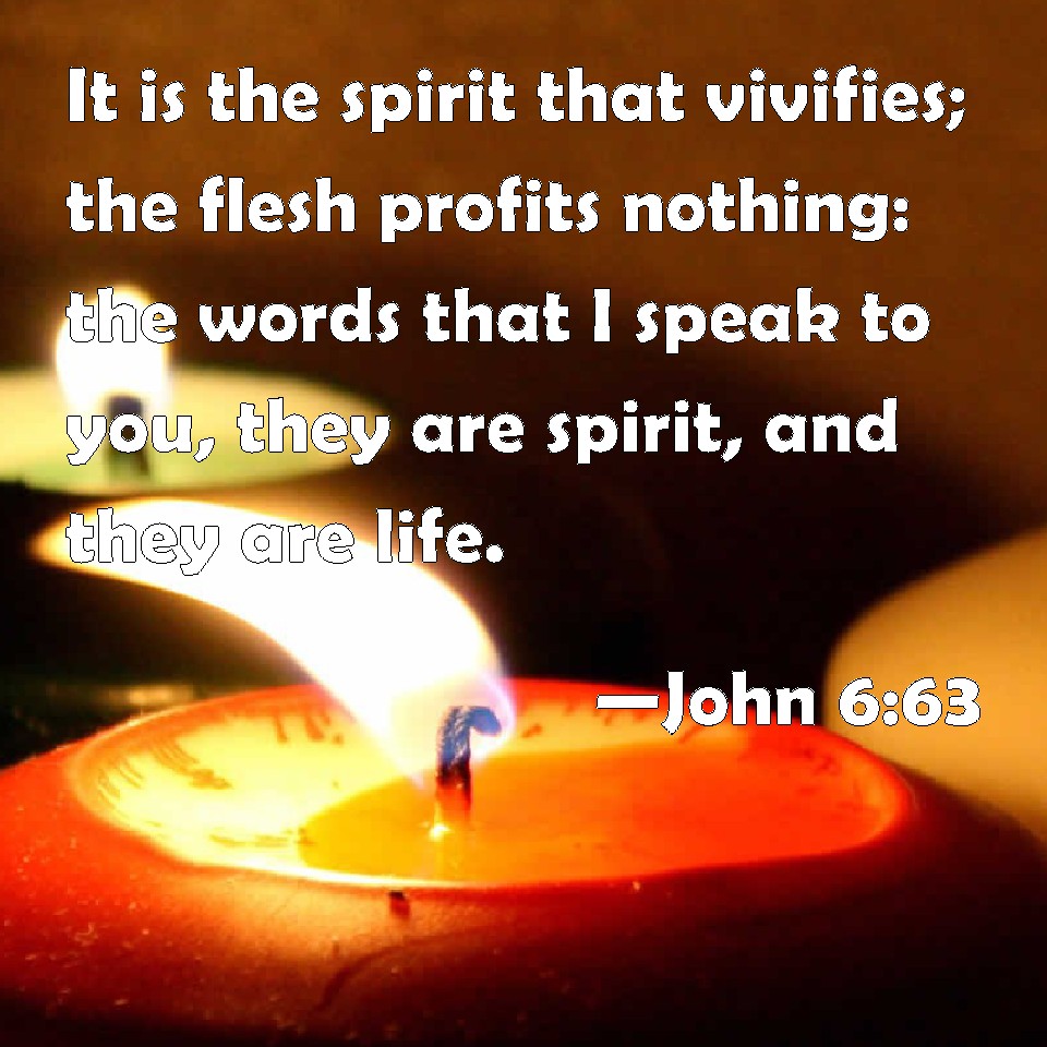 John 663 It Is The Spirit That Vivifies The Flesh Profits Nothing The Words That I Speak To 7216