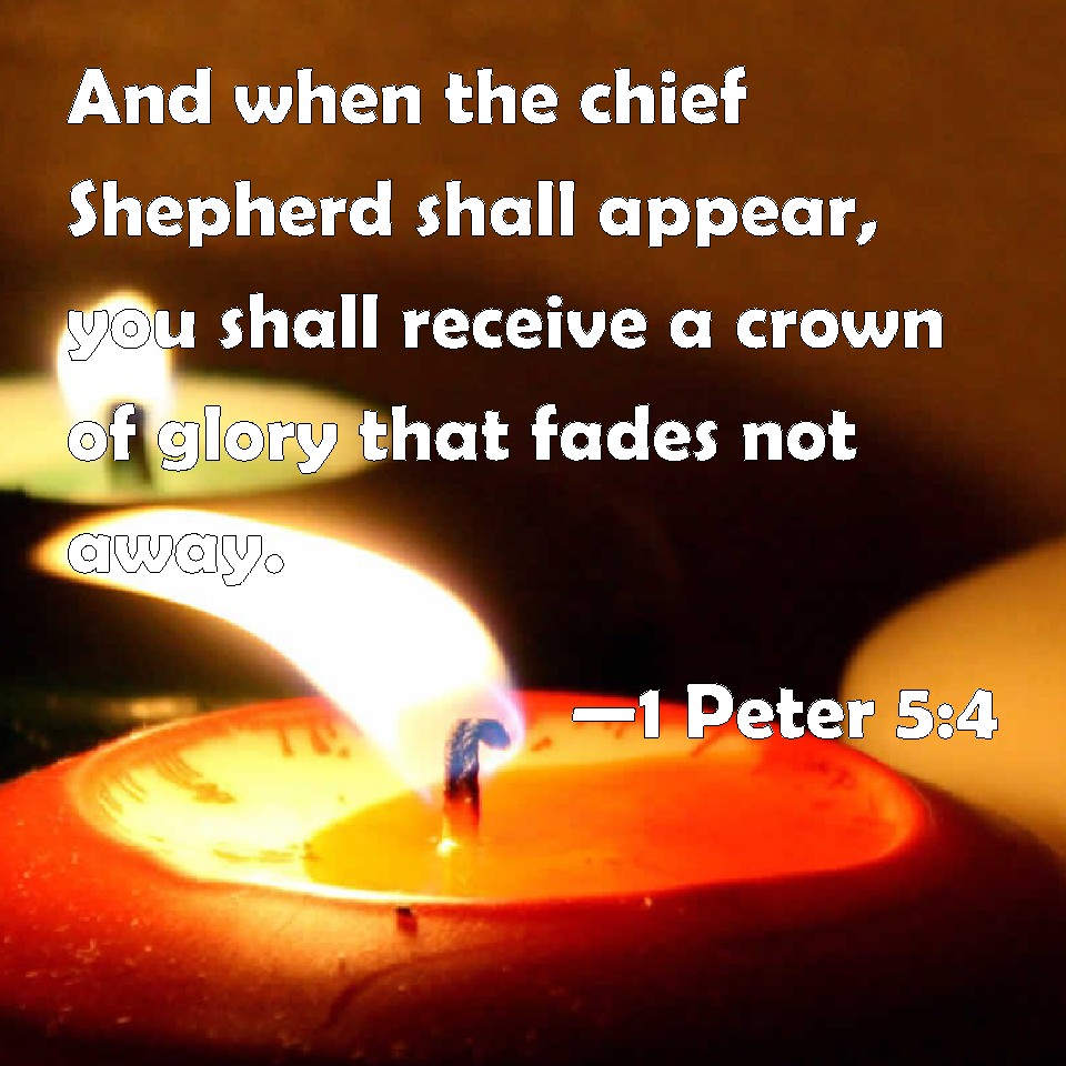 1 Peter 5 4 And When The Chief Shepherd Shall Appear You Shall Receive
