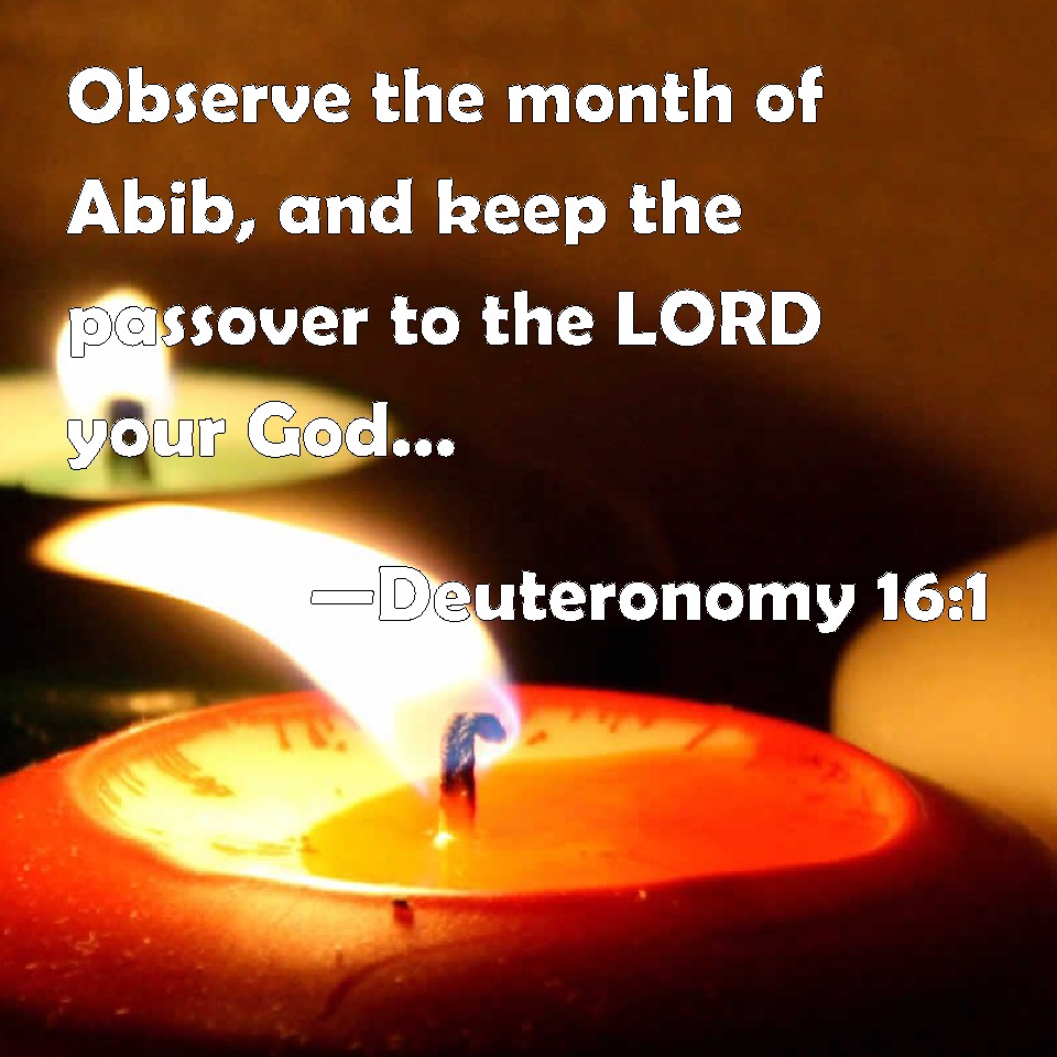 Deuteronomy 161 Observe the month of Abib, and keep the passover to