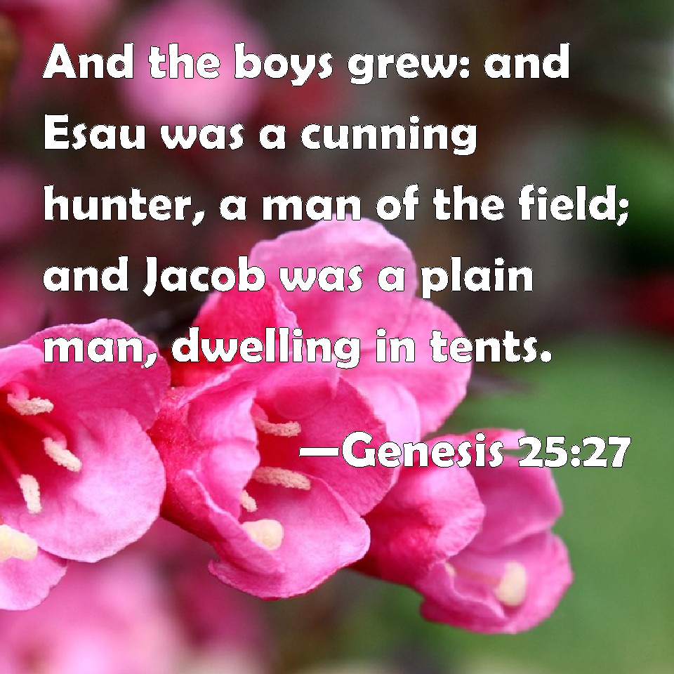 Genesis 25:27 And The Boys Grew: And Esau Was A Cunning Hunter, A Man Of The  Field; And Jacob Was A Plain Man, Dwelling In Tents.