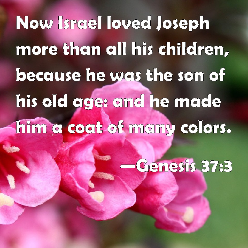 Genesis 37:3 Now Israel Loved Joseph More Than All His Children ...