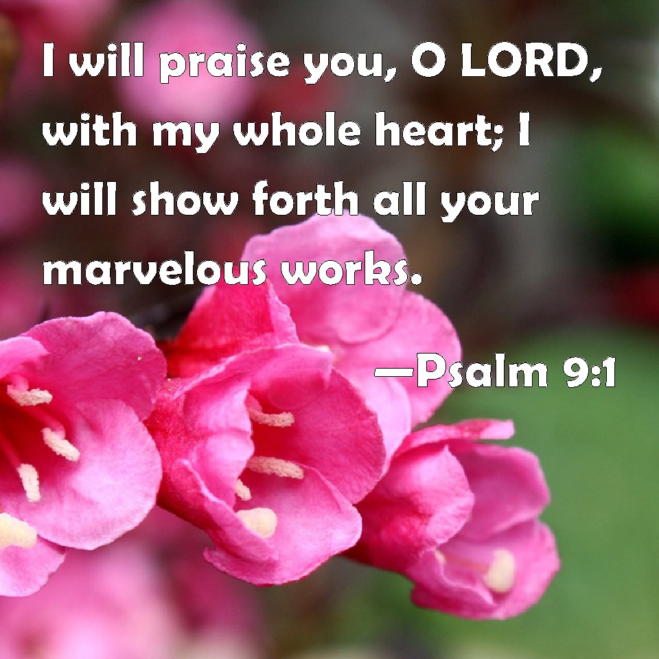 Psalm 9:1 I will praise you, O LORD, with my whole heart; I will show ...