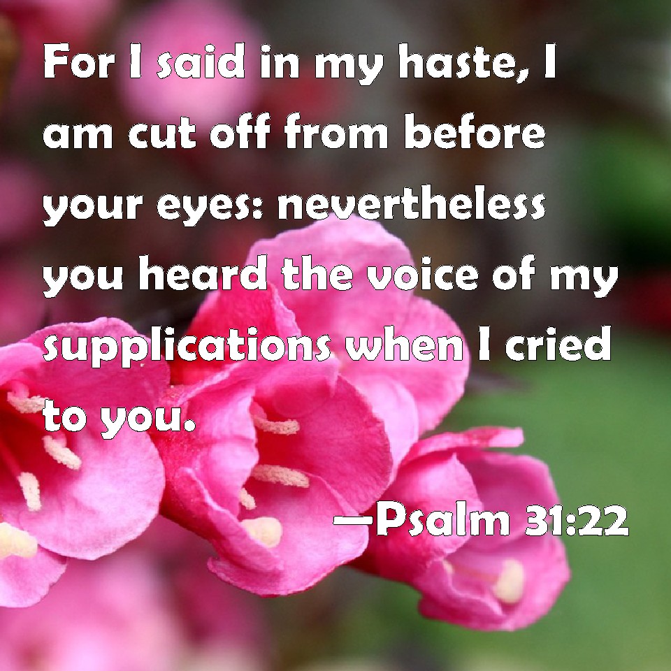Psalm 31:22 For I said in my haste, I am cut off from before your