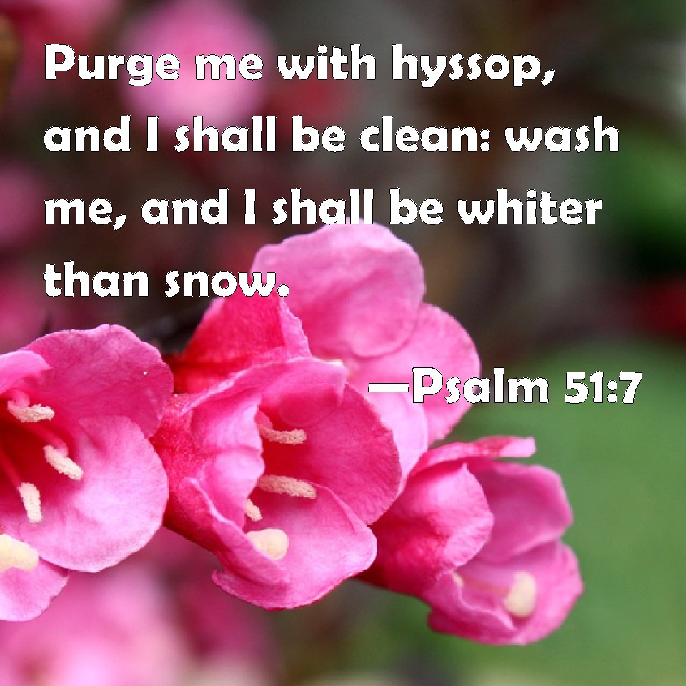 Psalm 51:7 Purge me with hyssop, and I shall be clean: wash me, and I