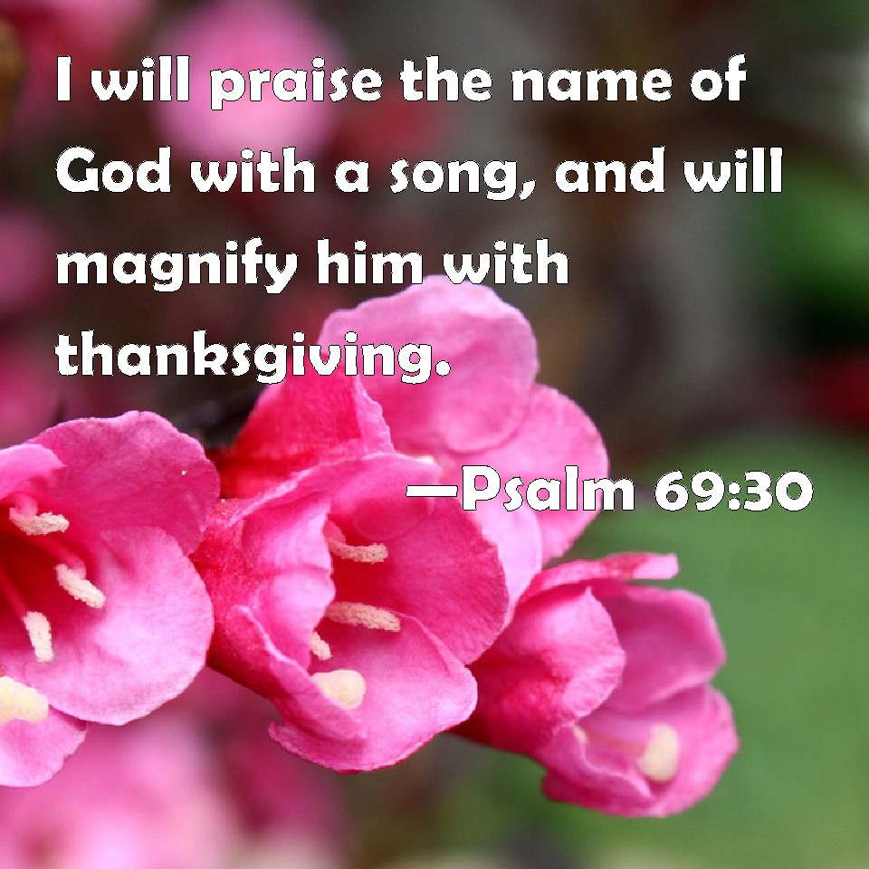 Psalm 69:30 I will praise the name of God with a song, and will magnify ...