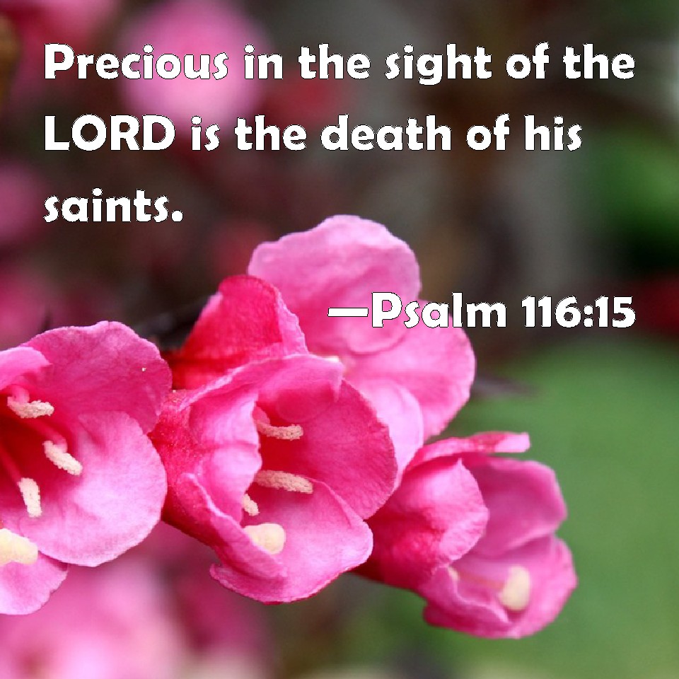 psalm-116-15-precious-in-the-sight-of-the-lord-is-the-death-of-his-saints