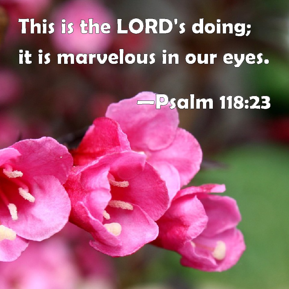 Psalm 118 23 This Is The LORD S Doing It Is Marvelous In Our Eyes   15893 