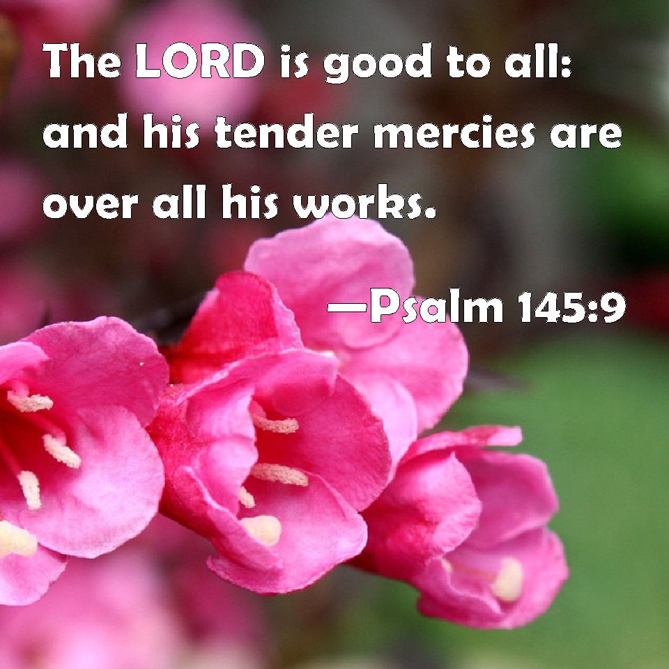 Psalm 145 9 The LORD Is Good To All And His Tender Mercies Are Over 