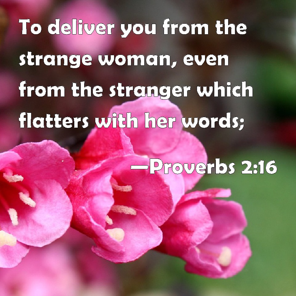 proverbs-2-16-to-deliver-you-from-the-strange-woman-even-from-the