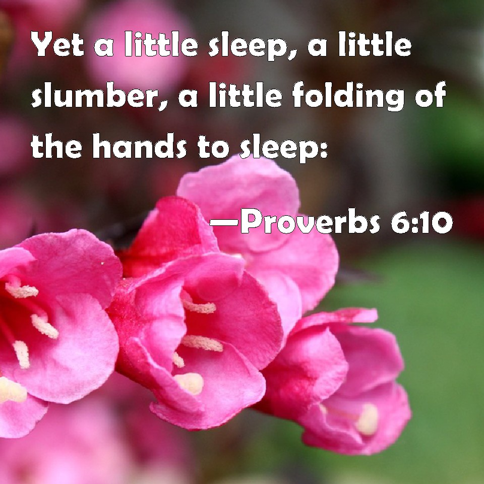 Proverbs 6:10 Yet a little sleep, a little slumber, a little folding of ...