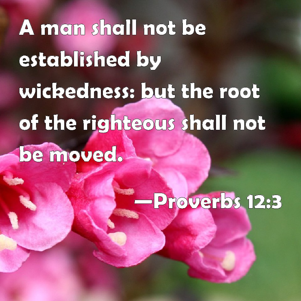 proverbs-12-3-a-man-shall-not-be-established-by-wickedness-but-the