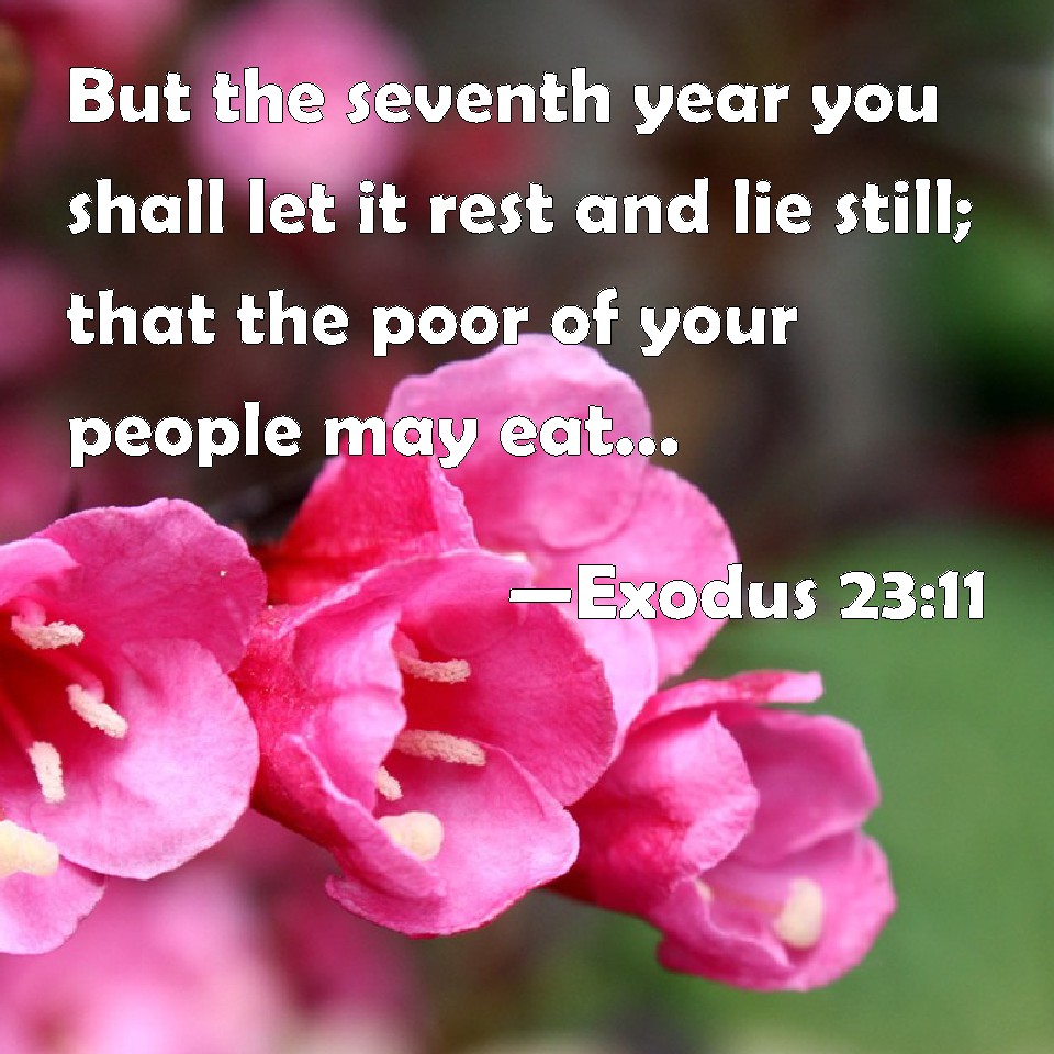 exodus-23-11-but-the-seventh-year-you-shall-let-it-rest-and-lie-still-that-the-poor-of-your