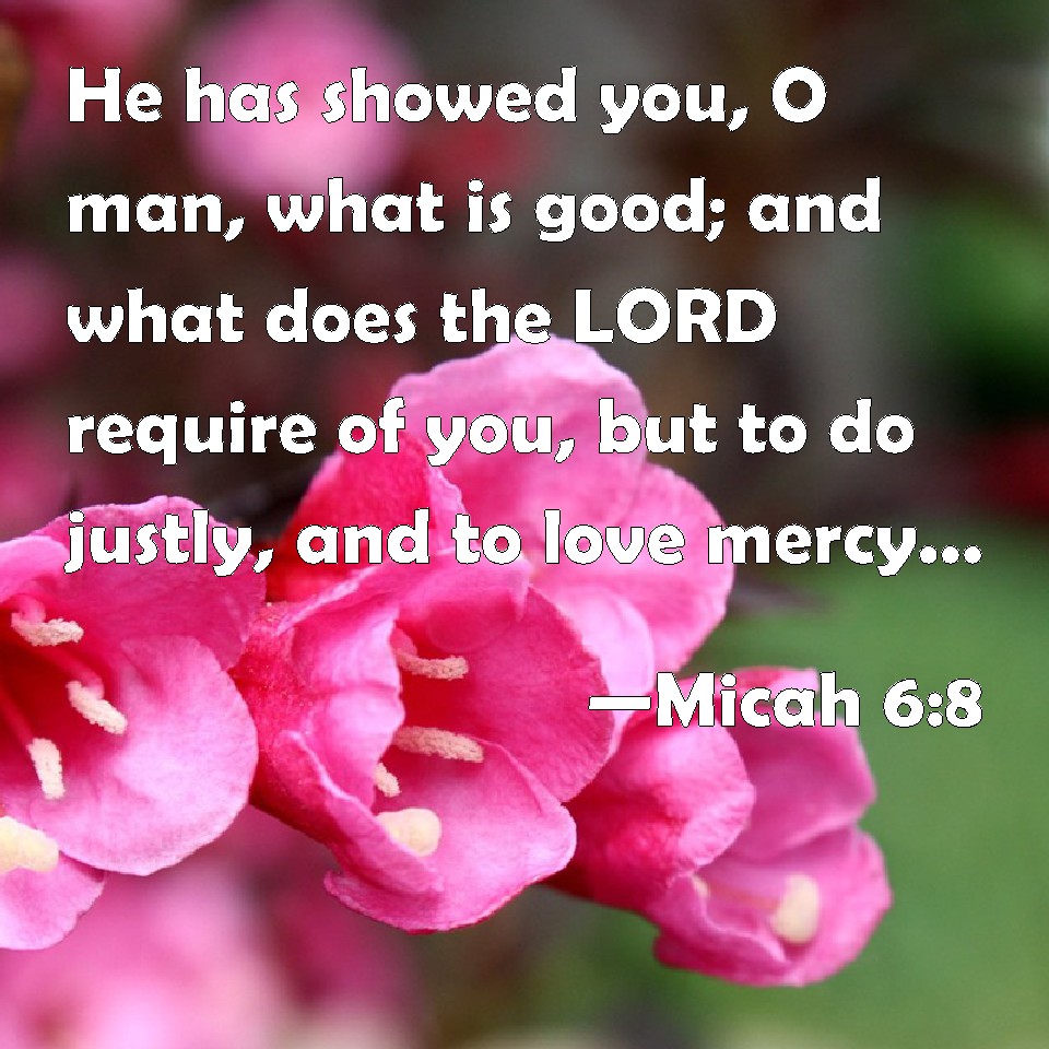 6 X 18 what is good Micah 6:8 Bible Verse Sign He has showed you And what does the LORD require of you? To act justly and to love mercy and to walk humbly with your God. O man 
