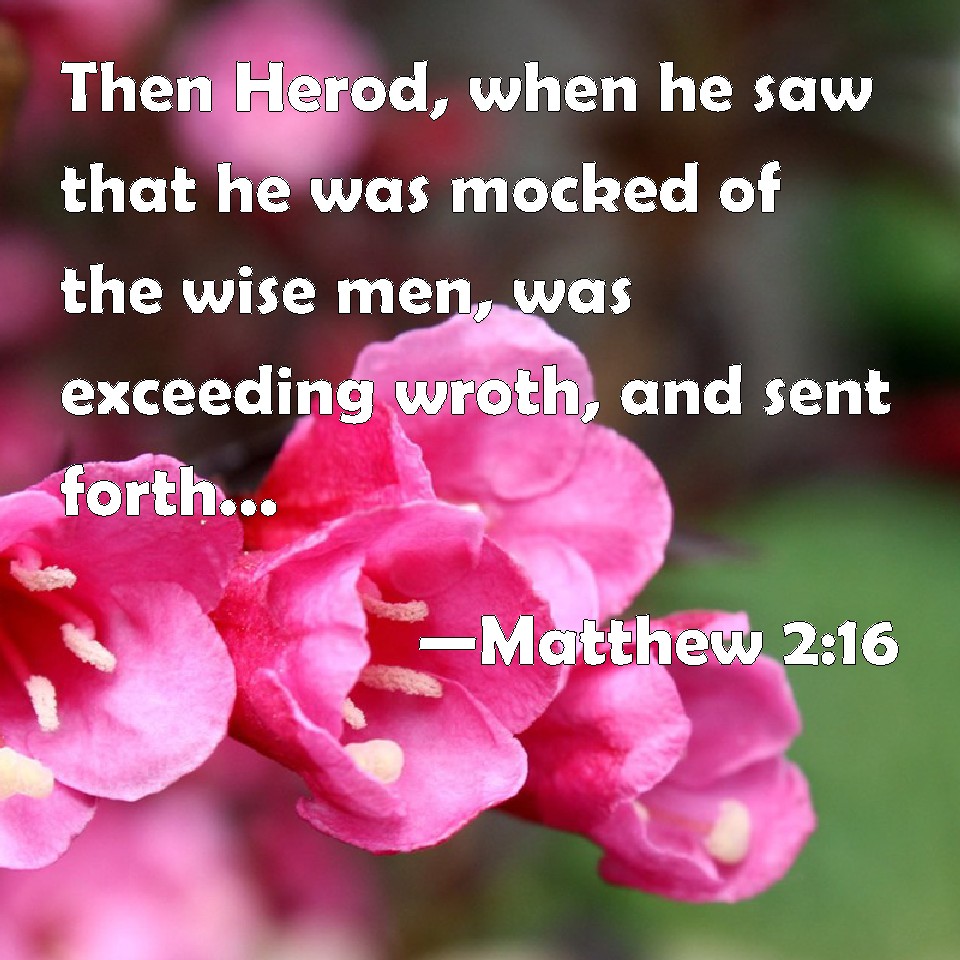 matthew-2-16-then-herod-when-he-saw-that-he-was-mocked-of-the-wise-men