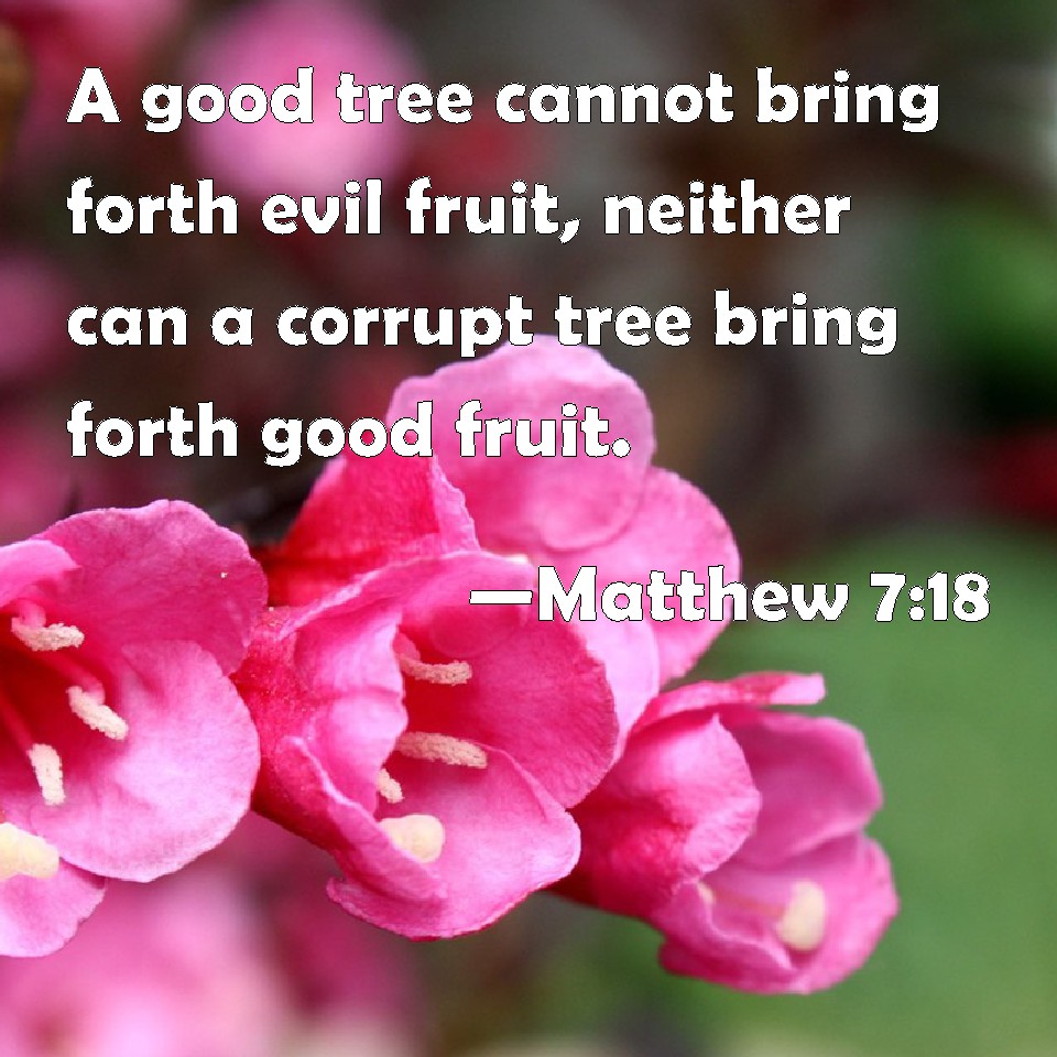 Matthew 7:18 A good tree cannot bring forth evil fruit, neither can a ...