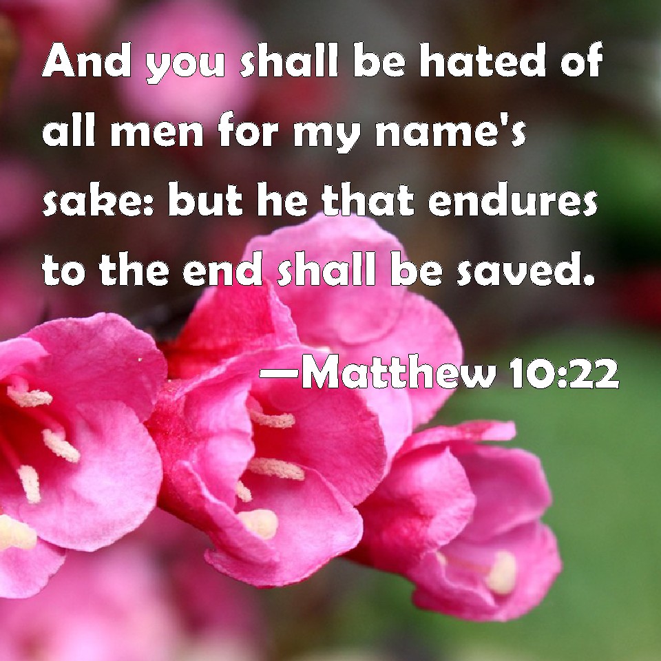 Matthew 10 22 And You Shall Be Hated Of All Men For My Name S Sake But He That Endures To The