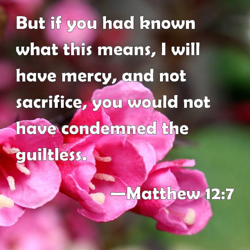 Matthew 12:7 But if you had known what this means, I will have mercy ...