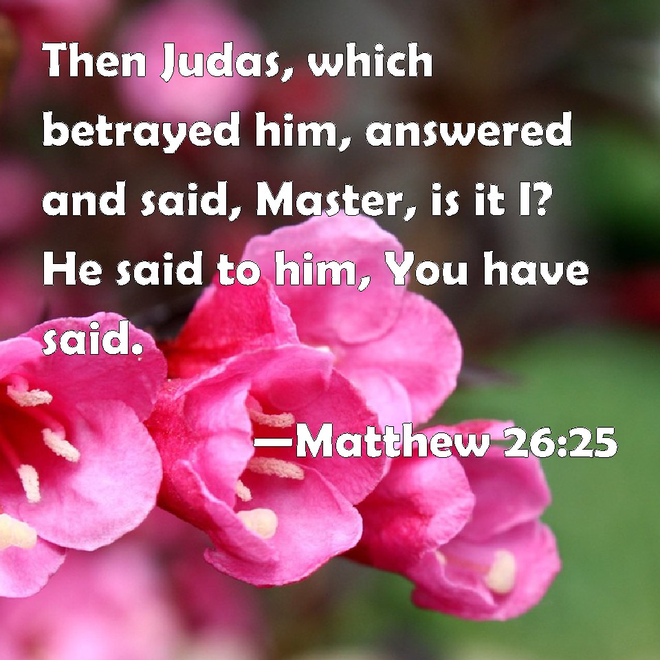 Matthew 26 25 Then Judas Which Betrayed Him Answered And Said Master 