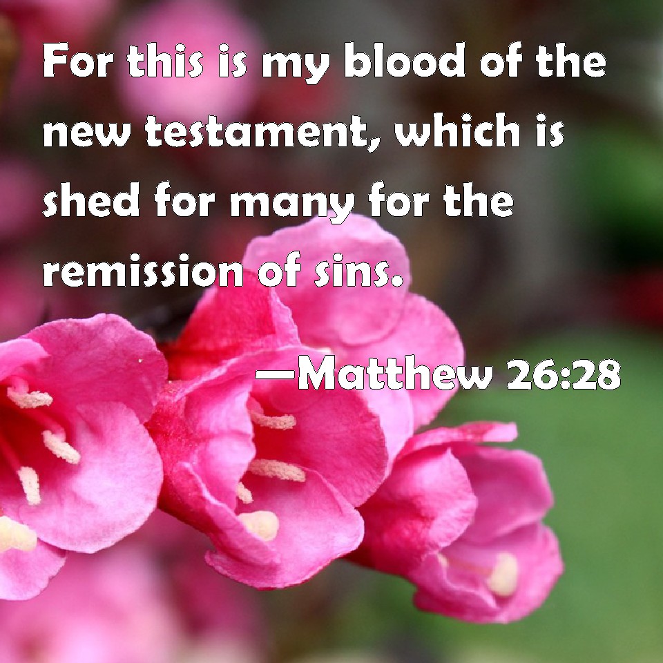 Matthew 26:28 For this is my blood of the new testament, which is shed ...