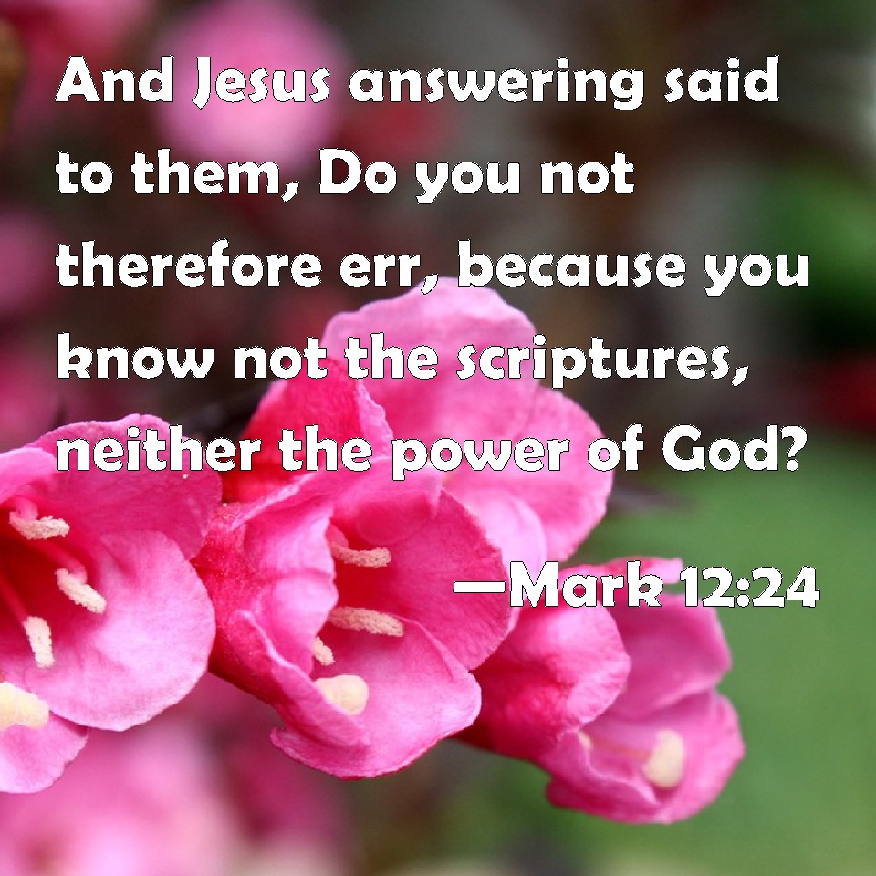 mark-12-24-and-jesus-answering-said-to-them-do-you-not-therefore-err-because-you-know-not-the