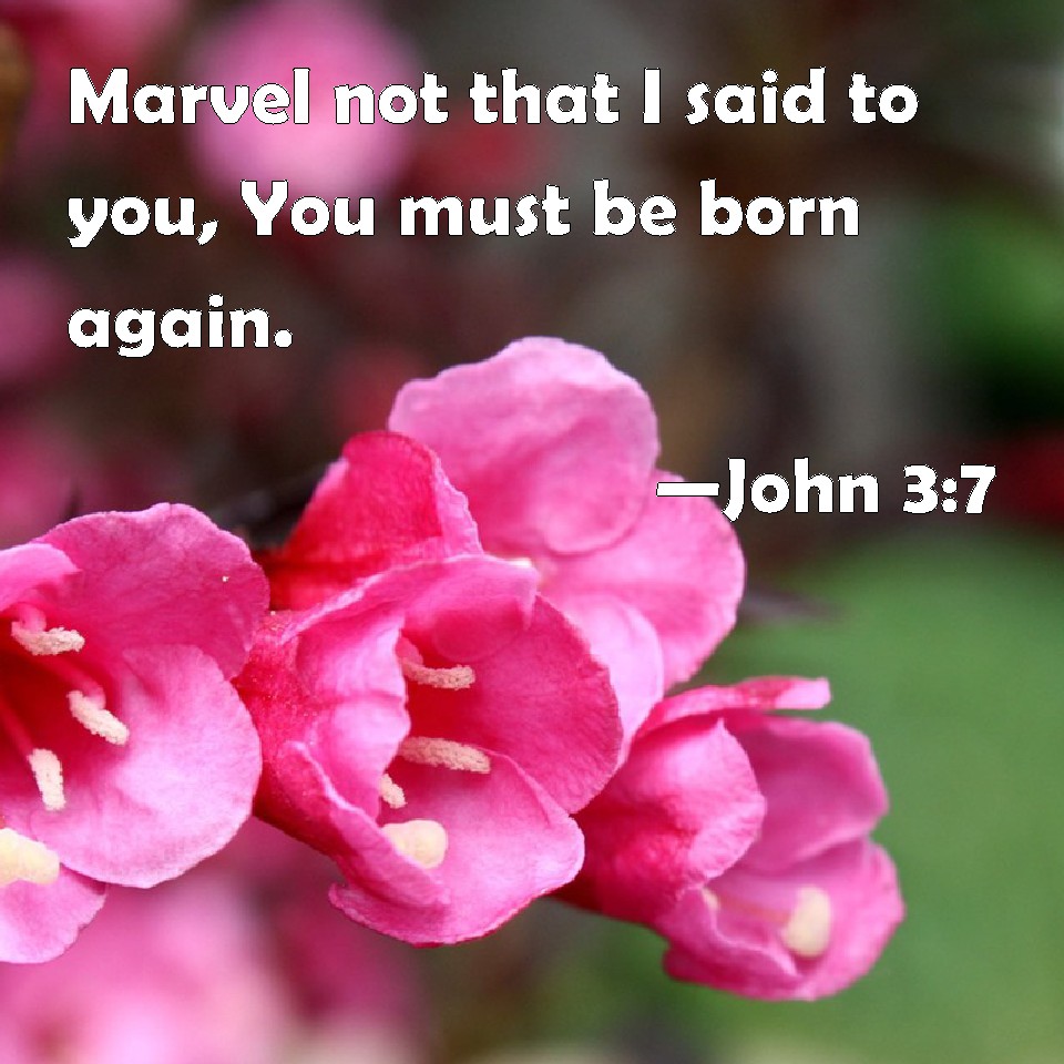 john-3-7-marvel-not-that-i-said-to-you-you-must-be-born-again