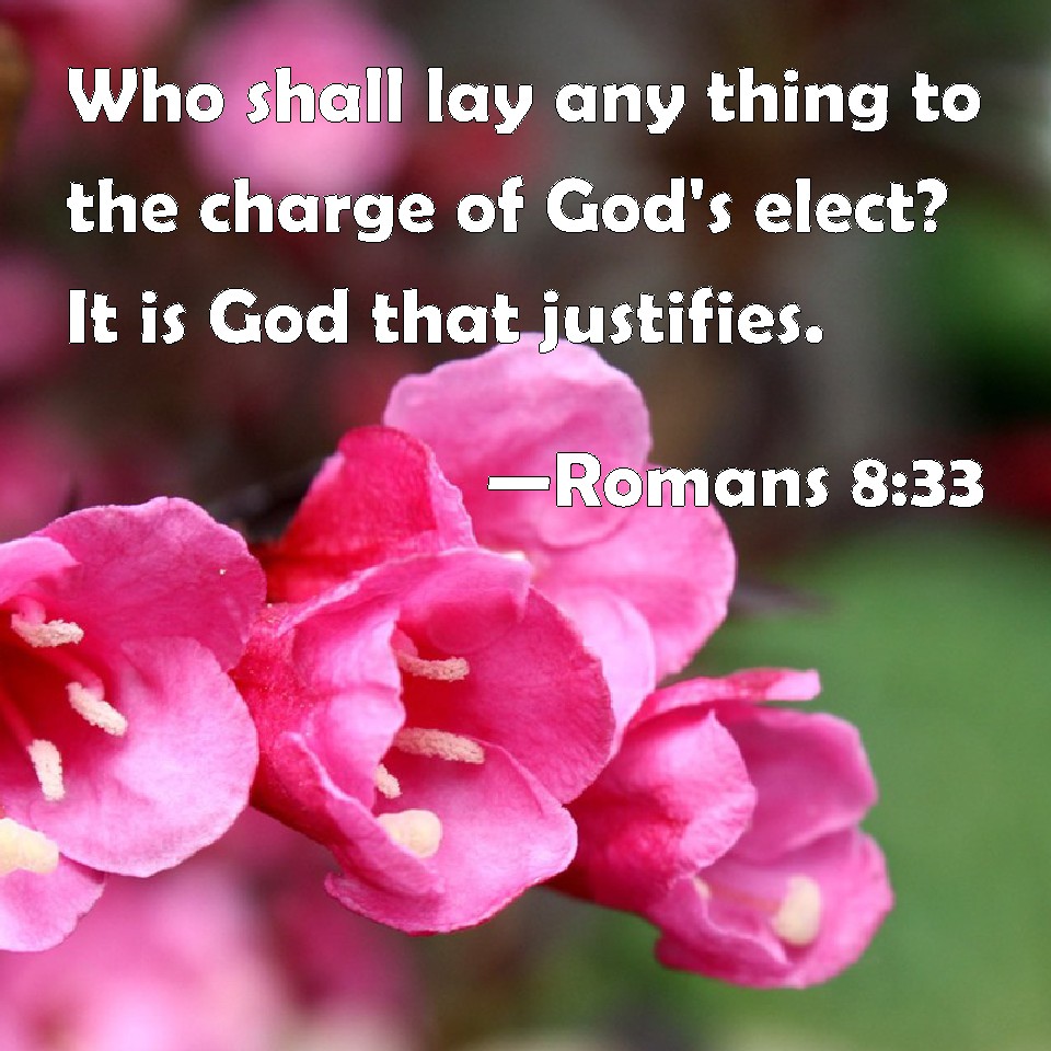 Romans 8 33 Who Shall Lay Any Thing To The Charge Of God s Elect It Is 