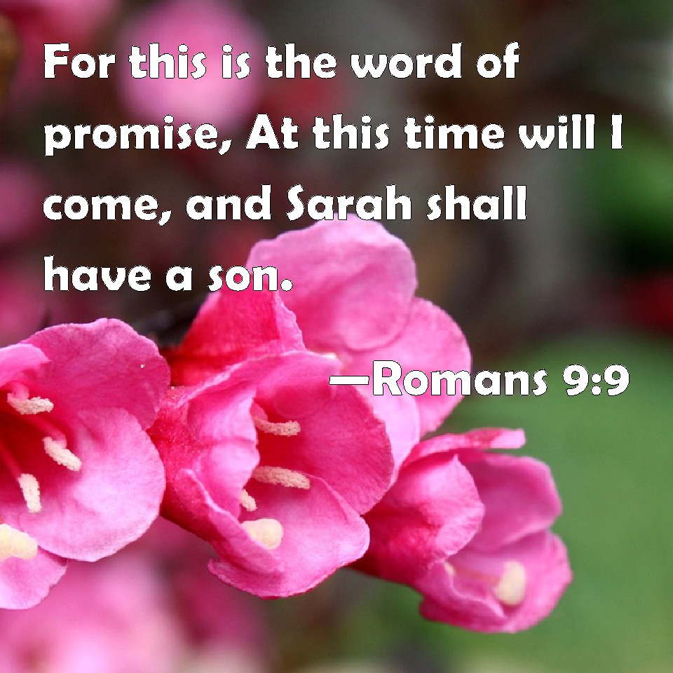 romans-9-9-for-this-is-the-word-of-promise-at-this-time-will-i-come-and-sarah-shall-have-a-son